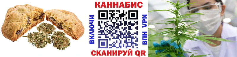 Canna-Cookies марихуана  купить наркотики сайты  Осинники 