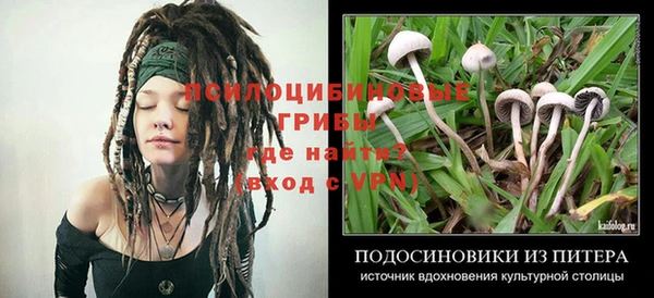 Альфа ПВП Россошь